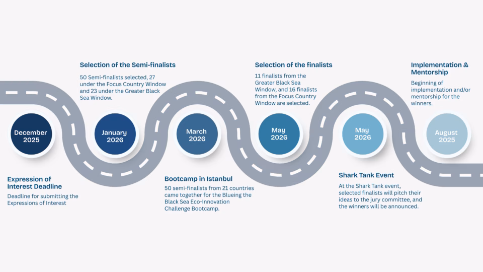 Roadmap